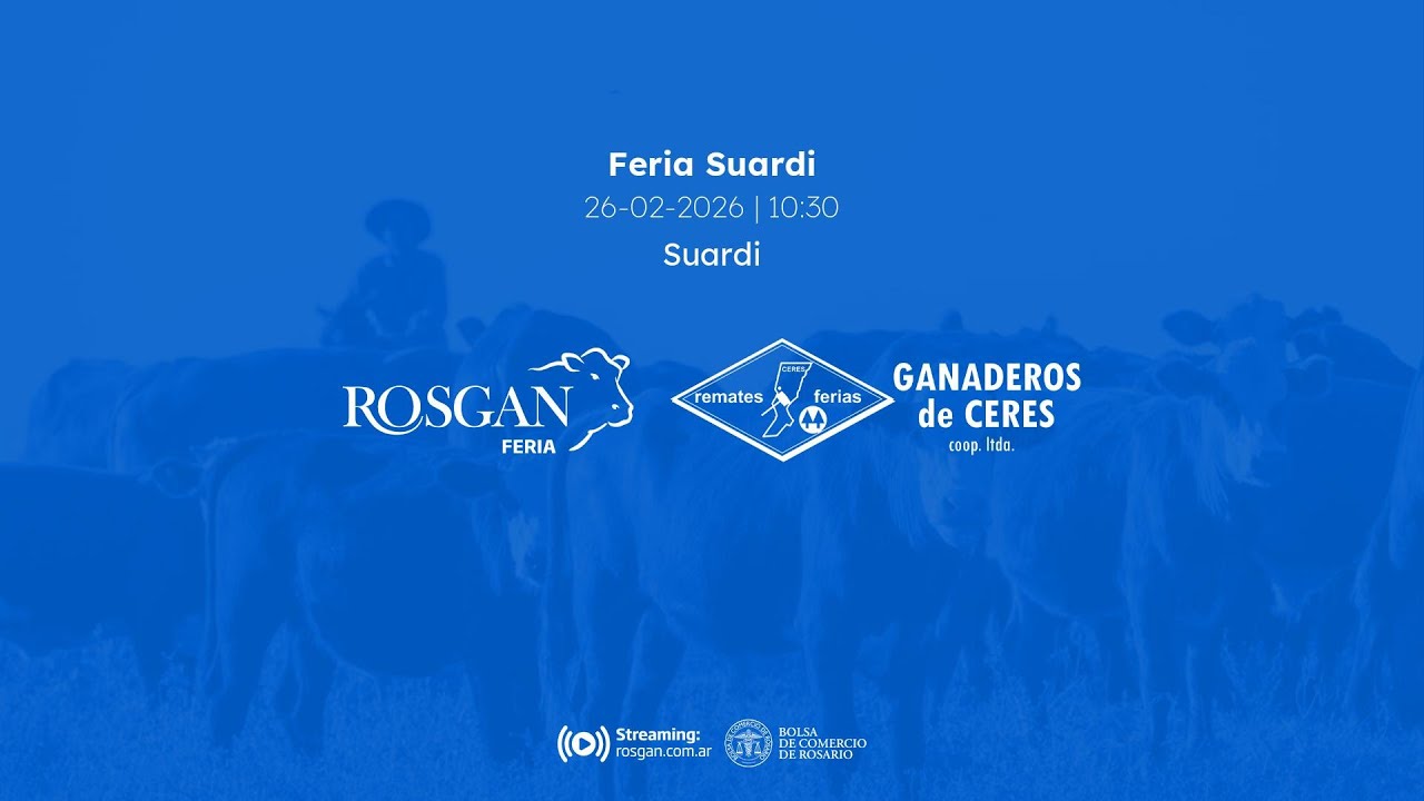 Feria Suardi | Suardi
