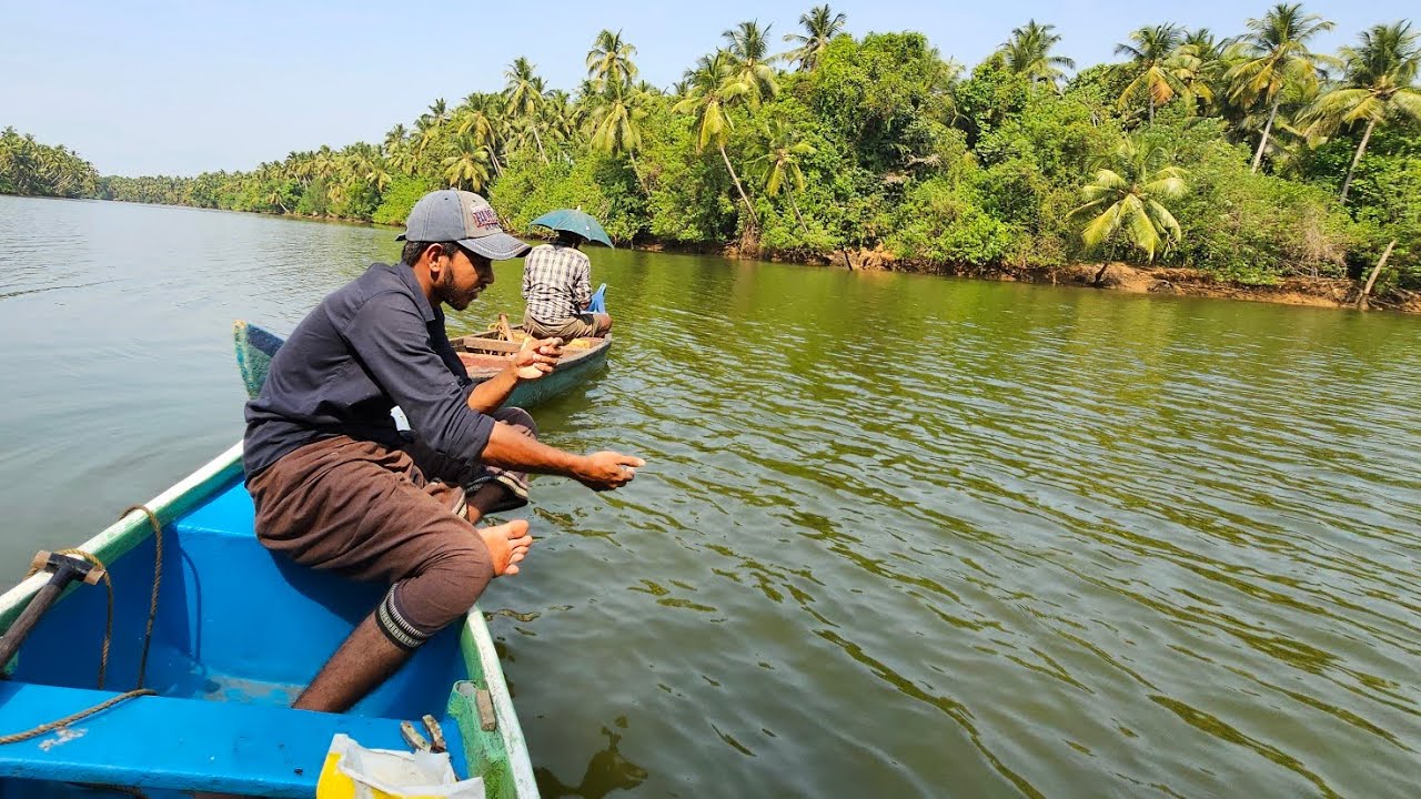 സിമ്പിളായി കരിമീൻ പിടിക്കാം 🦈💥Village fishing, Traditional fishing, fishing Malayalam, fishing video