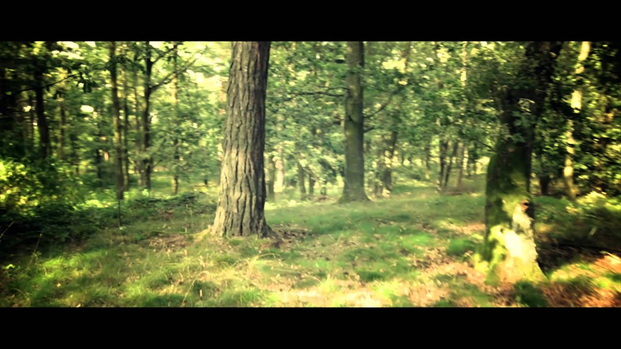 VEARZ featuring Gitti - why [Multivearzum] (prod Freshmaker)