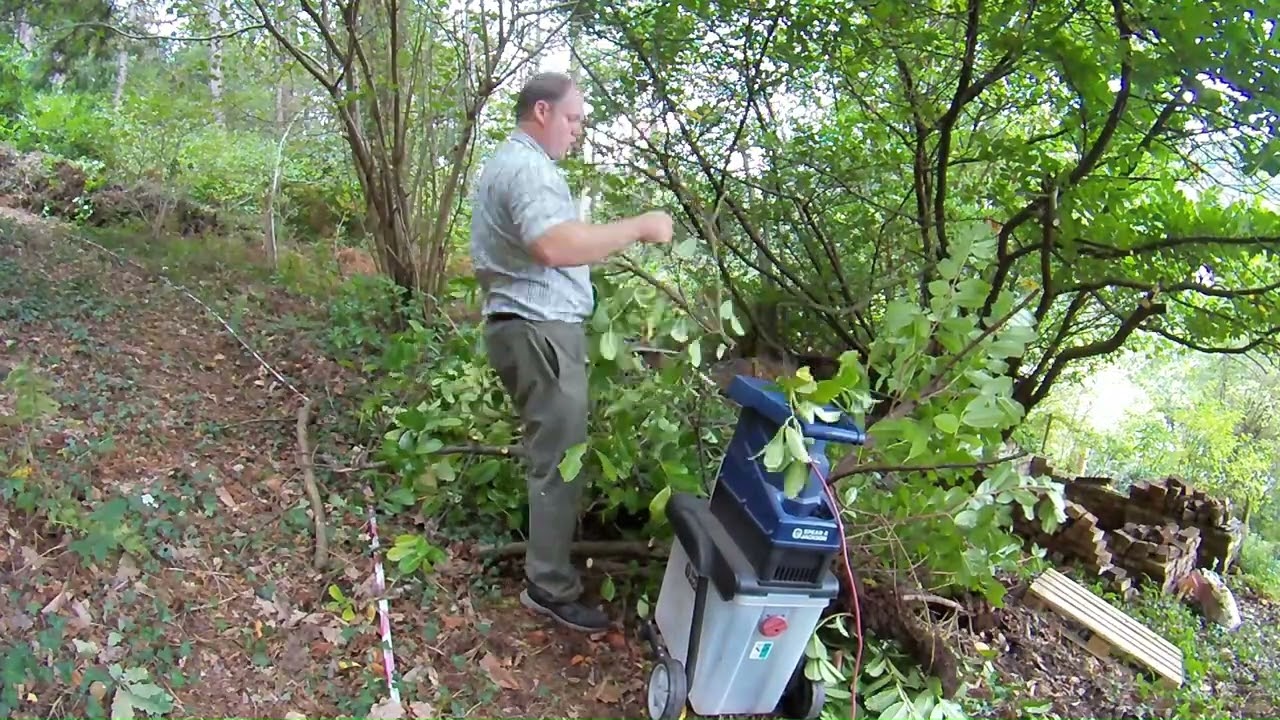 Clearing a path for electricity board