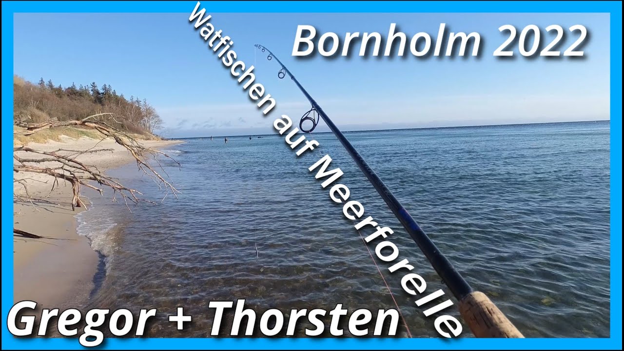 Meerforellen Angeln auf  Bornholm