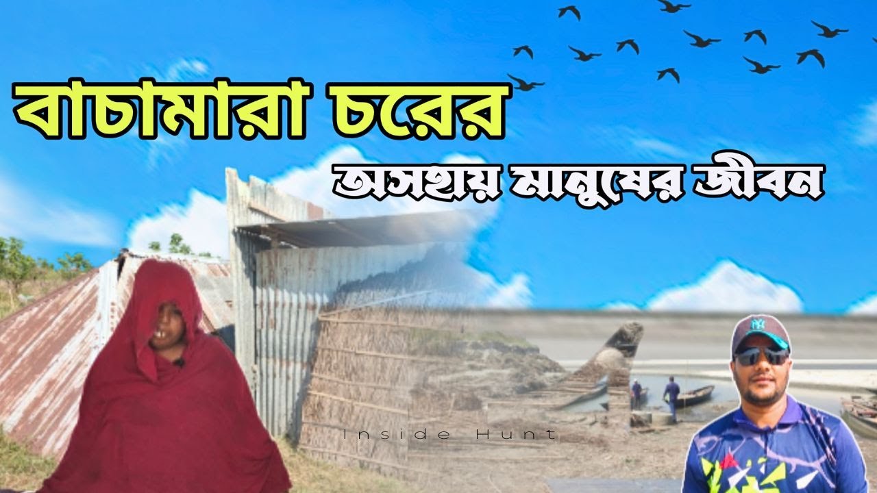 বাচামারা চর। বাচামারা চরের সংগ্রামী জীবন । Bachamara Char Poor Life Manikganj । Bangladesh ।