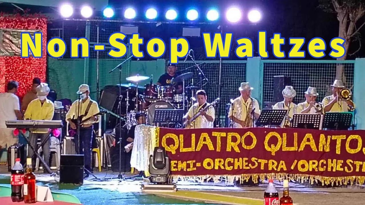 NON-STOP WALTZ MUSIC