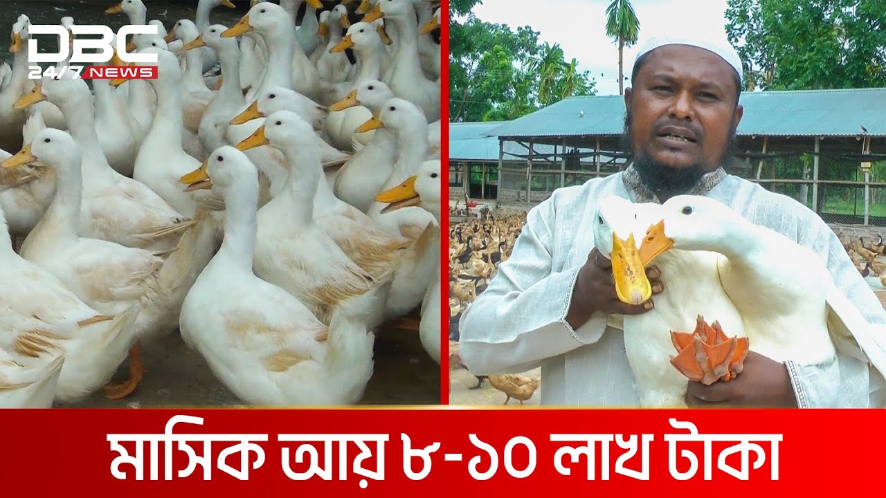 জাকিরের হাঁসের রাজ্য | DBC News Special