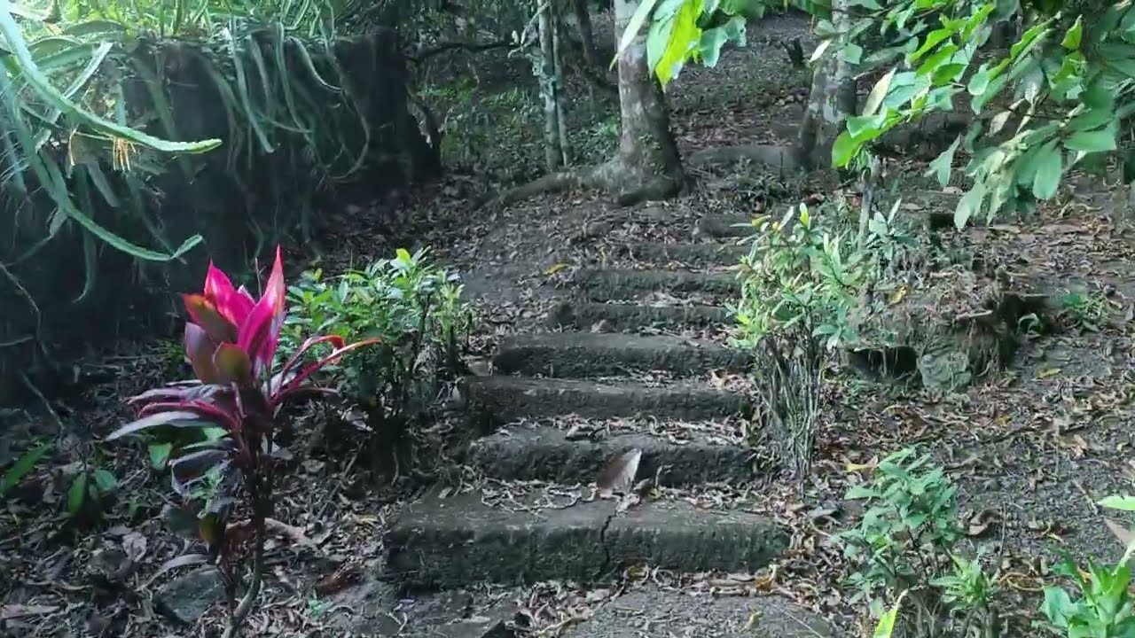 (P# 757) 4.6 hectares Beautiful Farm Lot with overlooking lake view in Mabitac, Laguna for sale