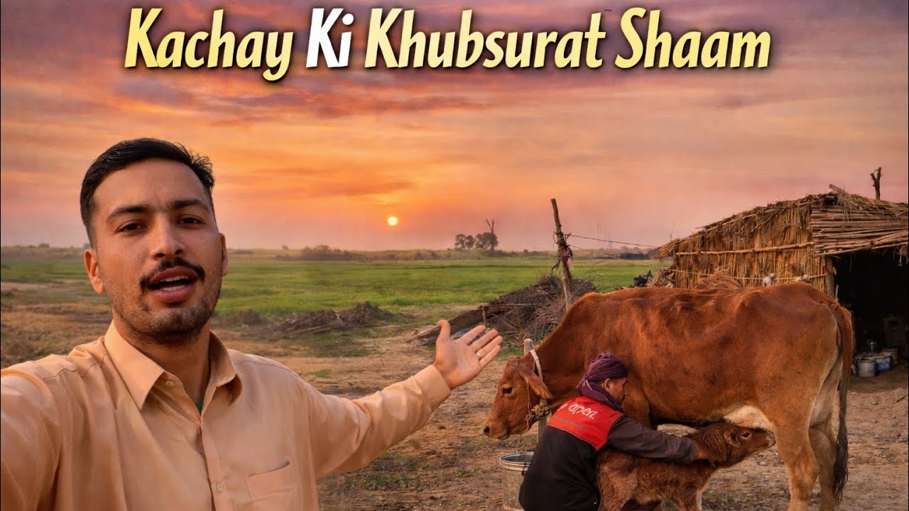 Kachy Ka Asal Mahaul | Gaon Ki Zindagi	) AJ ki sham shoukat k farm pr