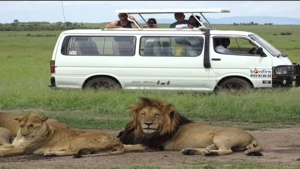 Planning a holiday in Kenya, what you need to know?