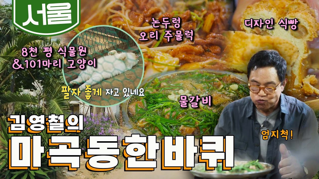 서울에서 가장 어린 동네 '마곡·개화' 한 바퀴, 물갈비, 오리 주물럭, 디자인 식빵, 101마리 고양이 카페｜김영철의 마곡·개화 한 바퀴🚶‍♀️ KBS 20190928