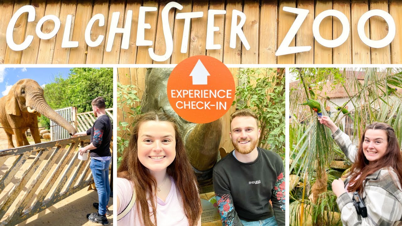 COLCHESTER ZOO VLOG | PENGUIN KEEPER SHADOWING EXPERIENCE | ELEPHANT & LORIKEET FEED | MAY 2022