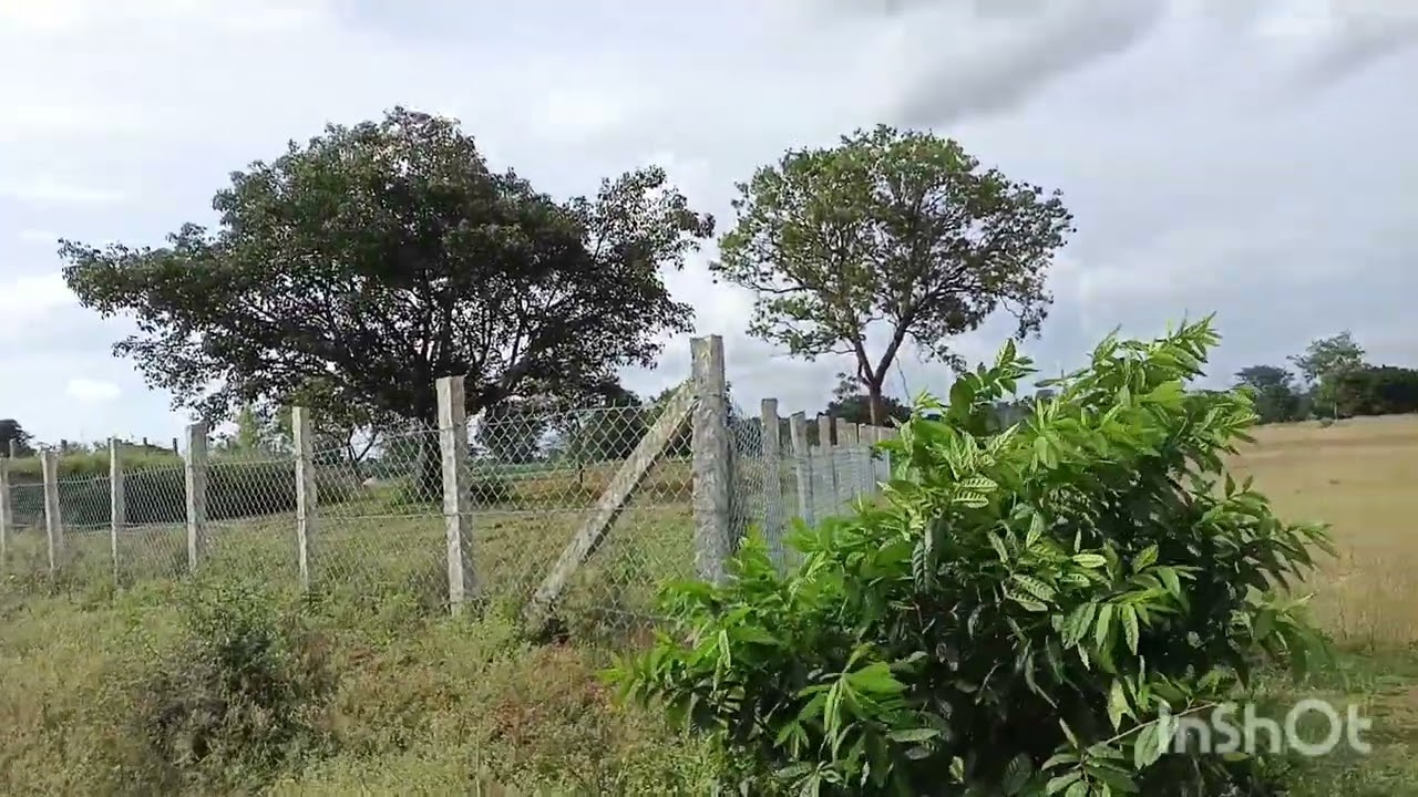 6 Acre 20 Guntas Agriculture Land For Sale Near NH. (8197434359).