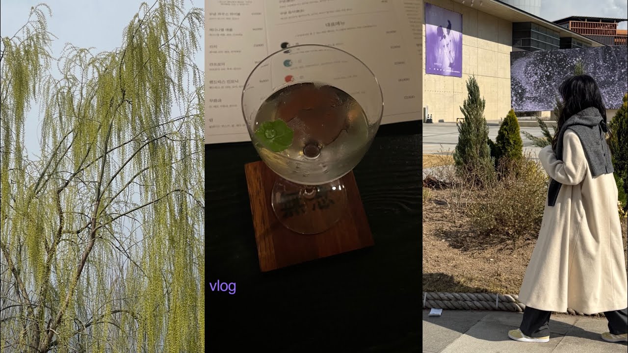 vlog. 좋아하는 사람들과 채운 날들 💚🔮 읽고 걷고 듣고 쓰는 일상. 이소라 콘서트와 어른의 사춘기