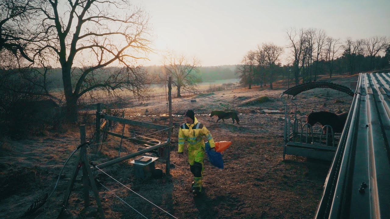 Storm Winds, Chicken Feed Arrives & Waterfall 🌊💨🐓 | Homestead Life In Sweden | # 39