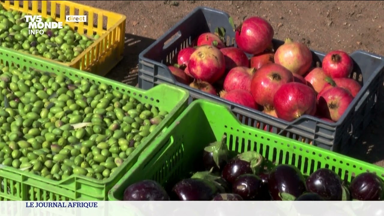 Maghreb : l’agriculture biologique en plein essor