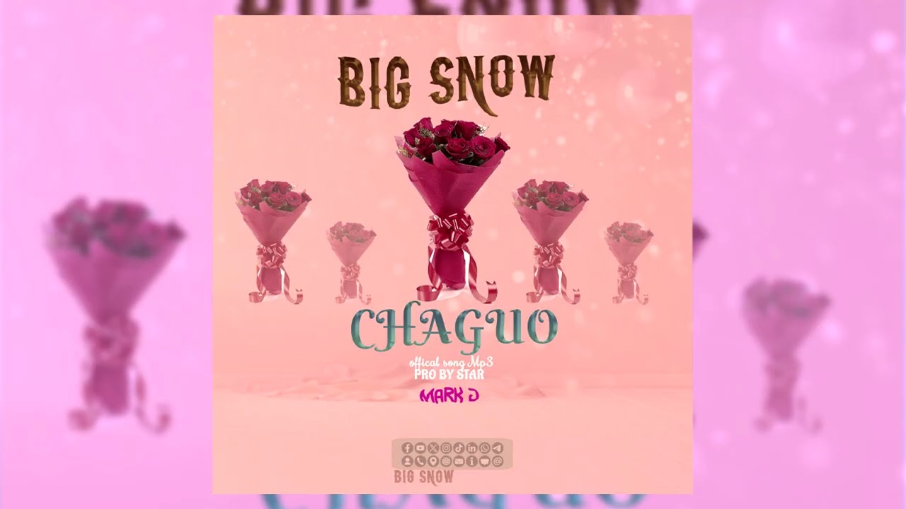 Big Snow _Song _Chaguo .Ndoa Official mp4