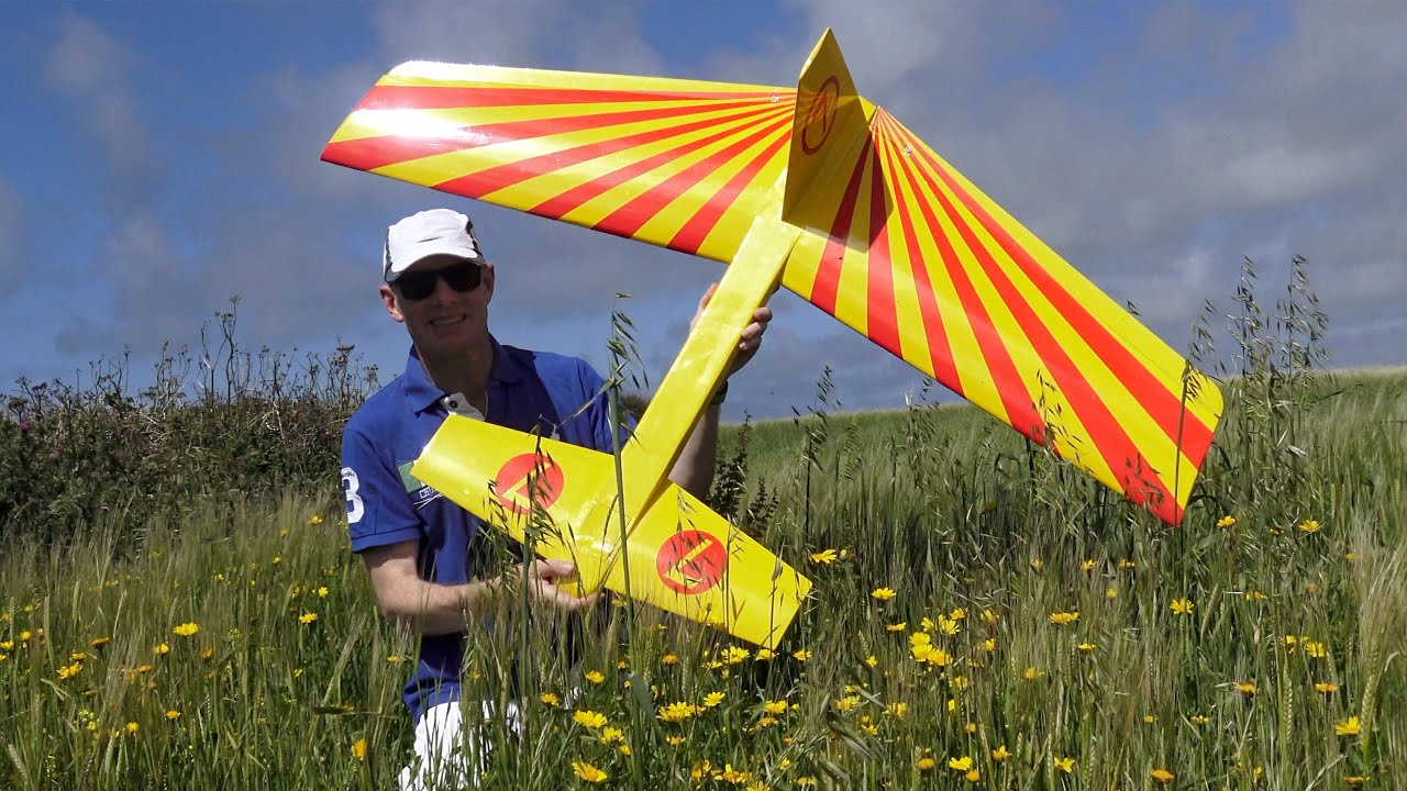 Forward sweep Canard. RC Glider Sloping.