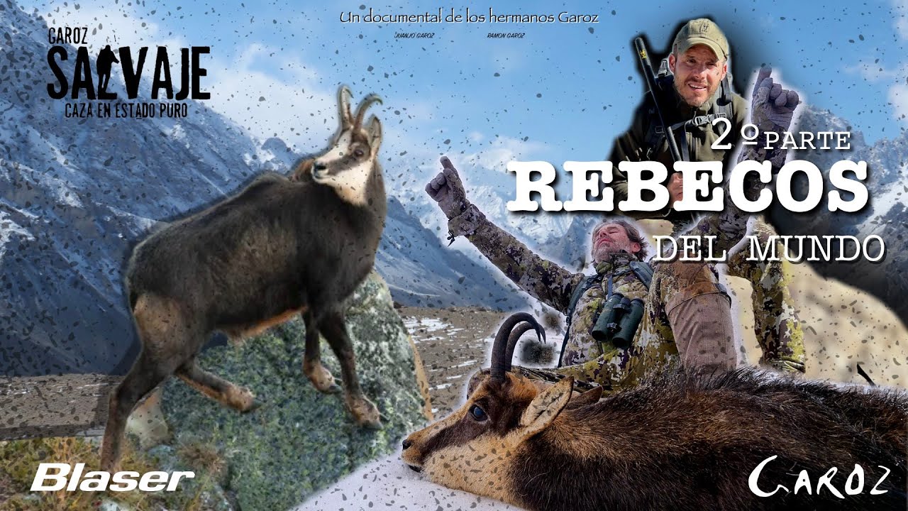 REBECOS DEL MUNDO 2&ordm; CAPITULO