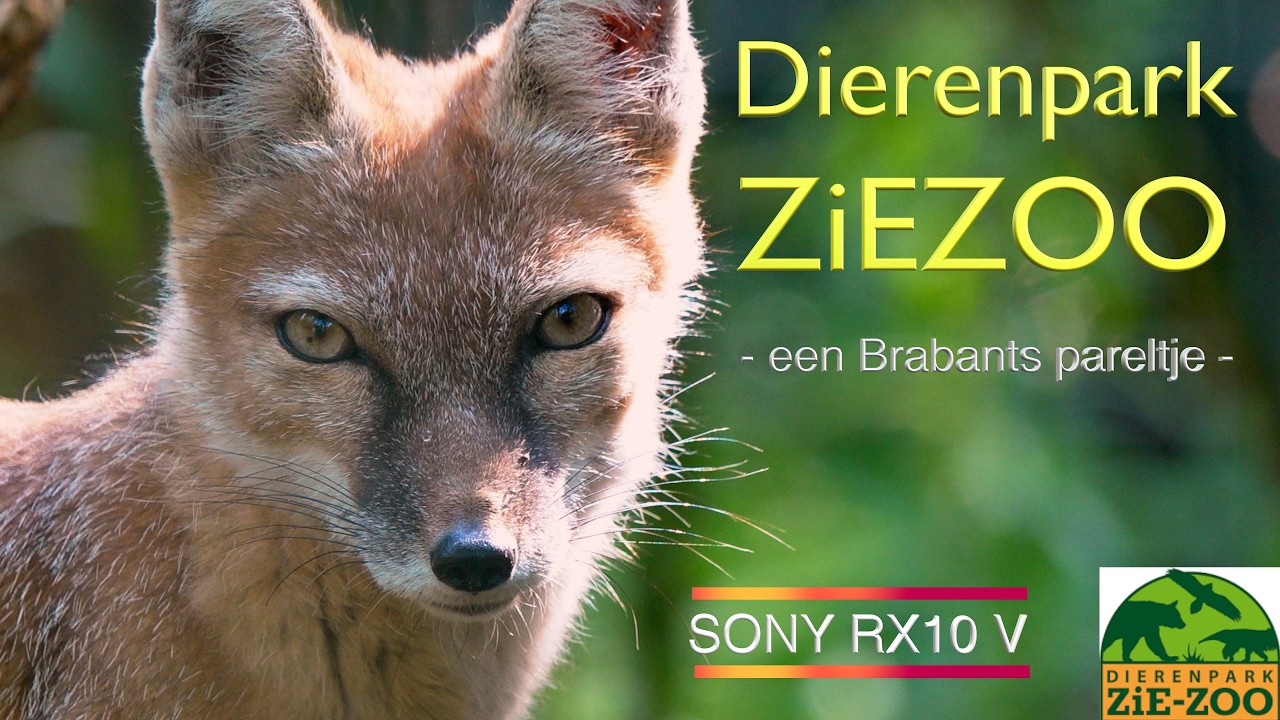 Dierenpark ZiE- ZOO - Een Brabants pareltje - | SONY RX10 V