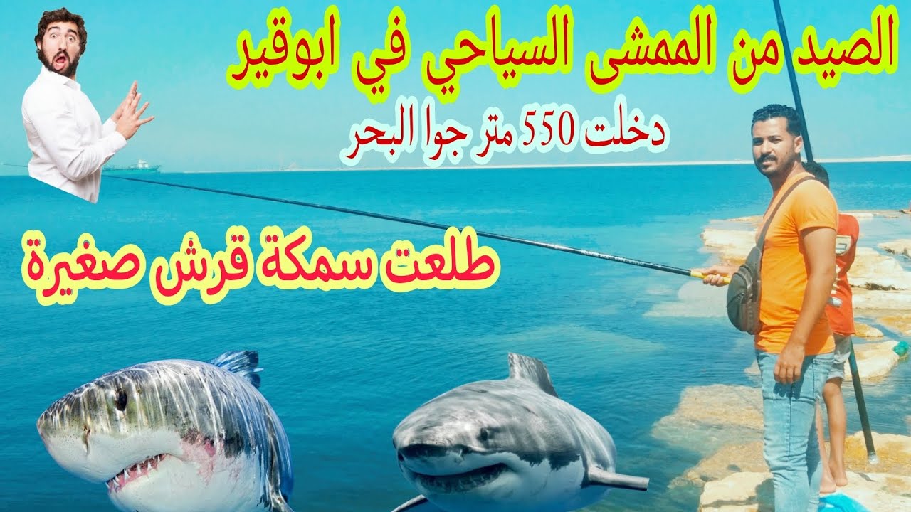 ابوقير الجديدة دخلت 550 متر جوا البحر وجربت الصيد من اخر الممشى وربنا كرمنى
