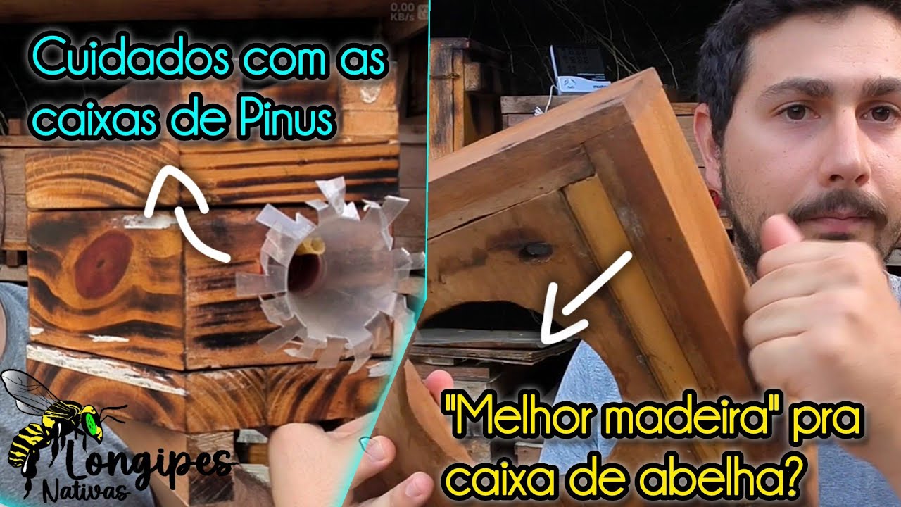 Mais 3 dicas sutis para melhorar suas caixas de abelha nativa #meliponicultura 