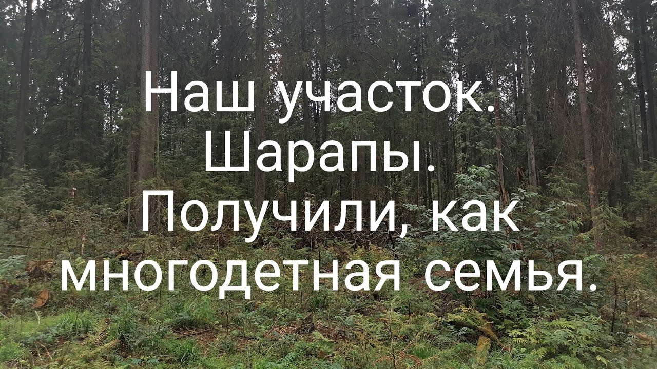 Шарапы. Получение участка, как многодетной семье.