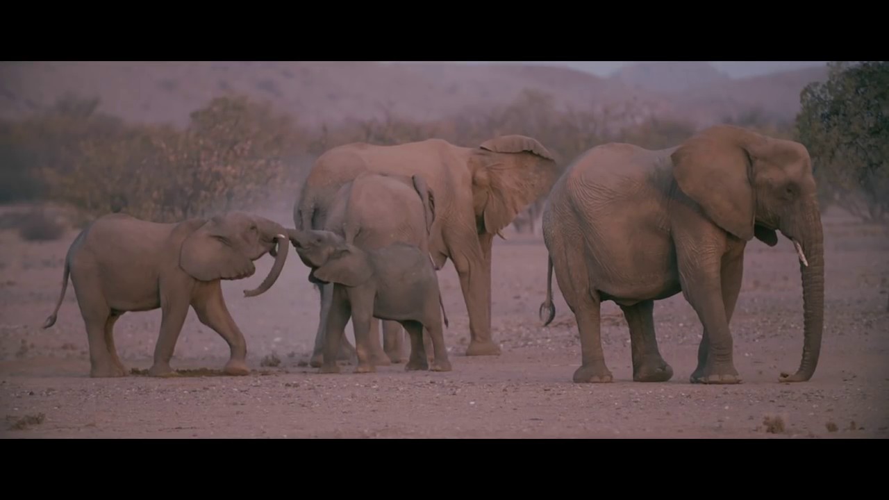 Damaraland Camp and the Torra Conservancy   pioneering community partnerships