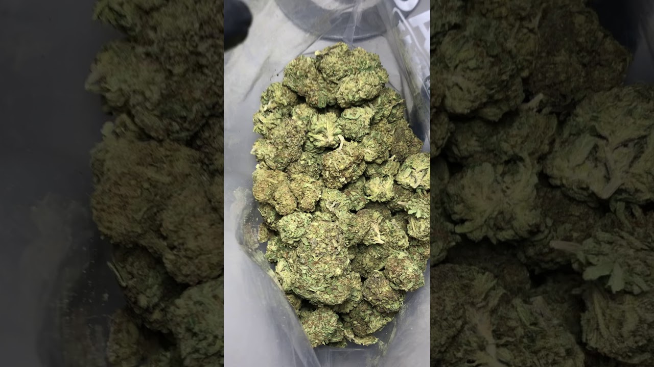 KING KUSH