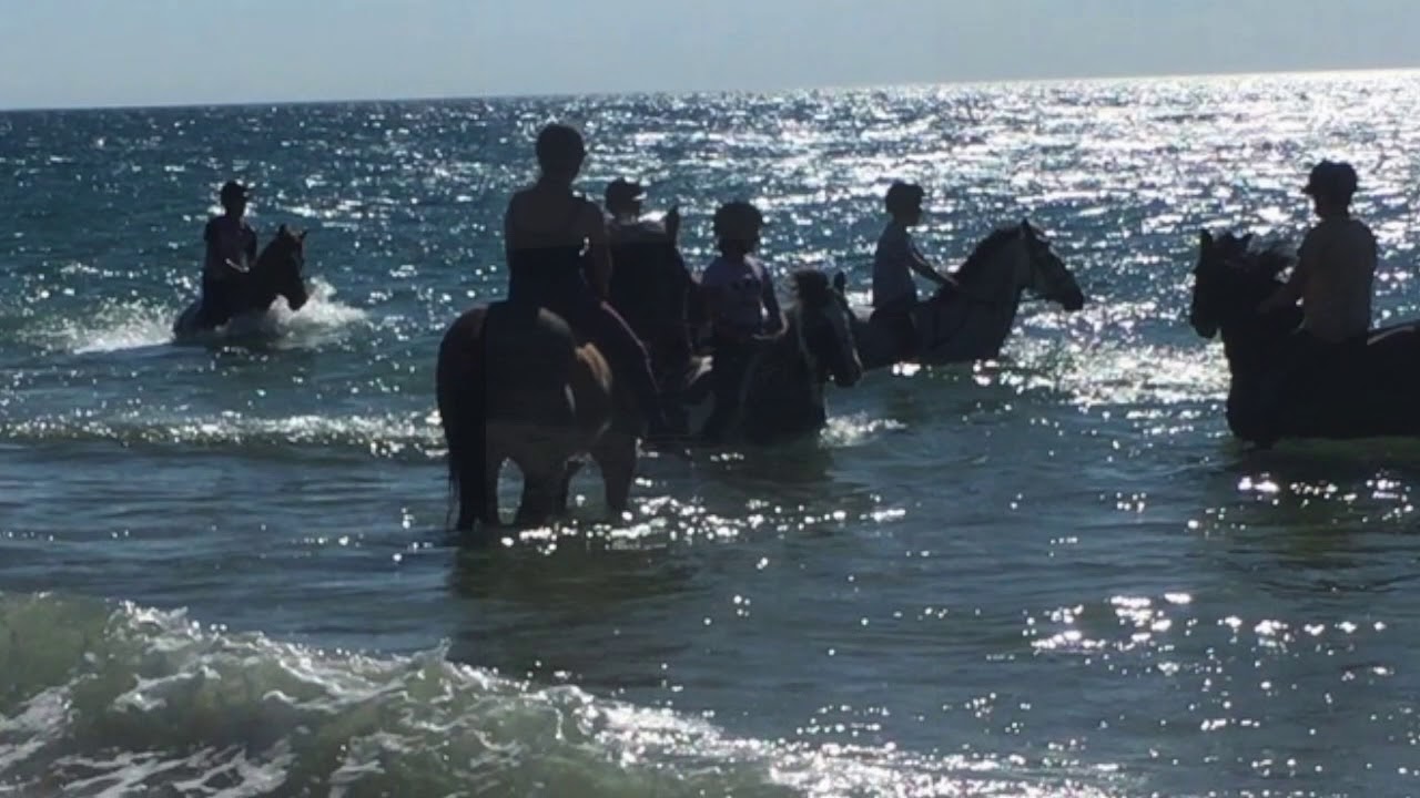 Baignade à la mer!!!