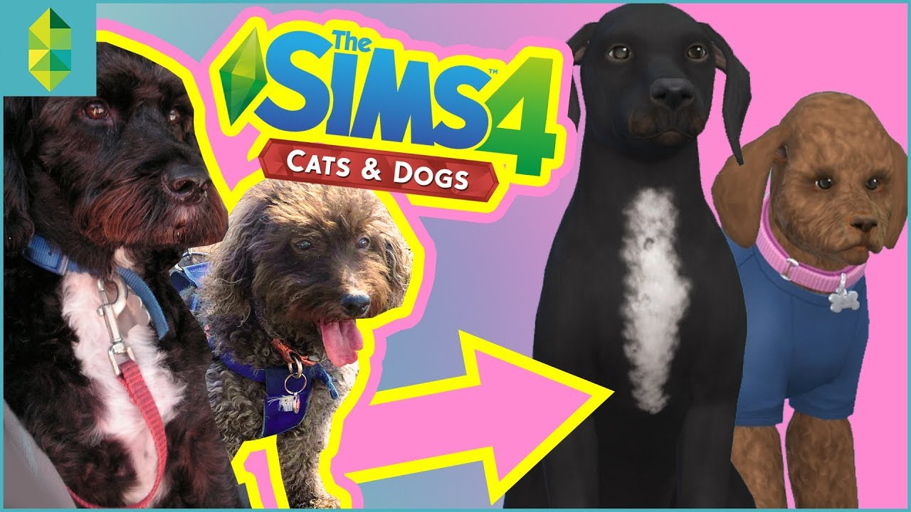 Making My REAL Pets in THE SIMS 4 CATS & DOGS!