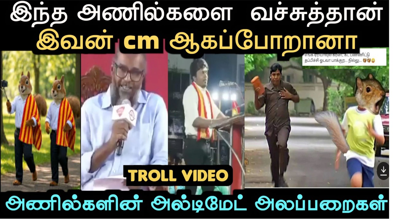 அணில்களின் அல்டிமேட் அலப்பறைகள் | troll arakkan