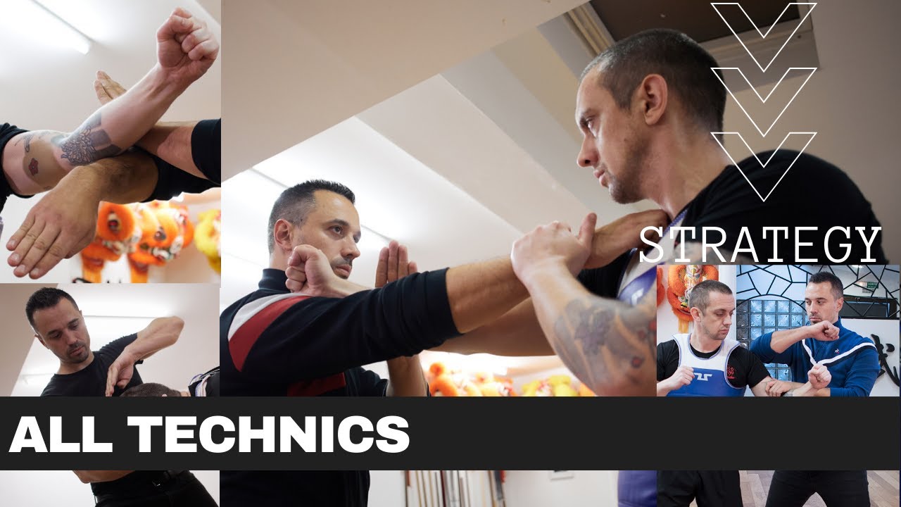 Pak Mei Kung Fu Strategy - All Technics