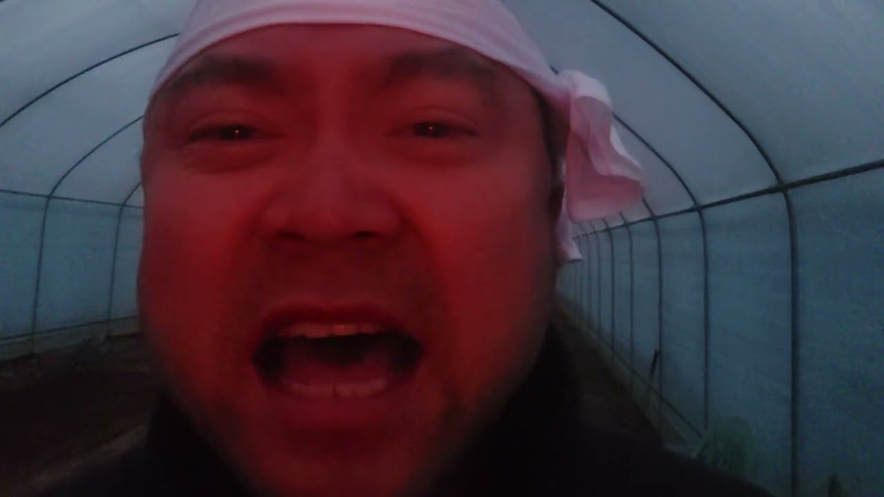 처음 그 날처럼 