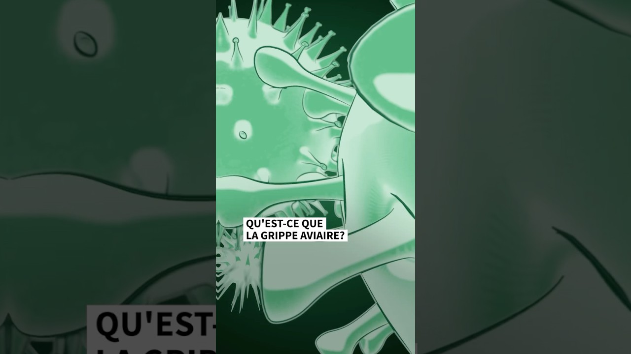 Qu&rsquo;est-ce que la grippe aviaire?