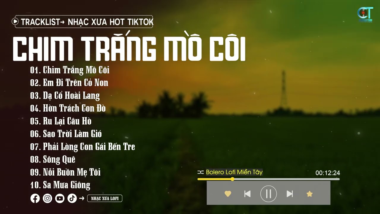 Chim Trắng Mồ Côi, Thương nghe câu mái đẩy nhớ... LK Nhạc Bolero Lofi Miền Tây Của Phạm Thiêng Ngân