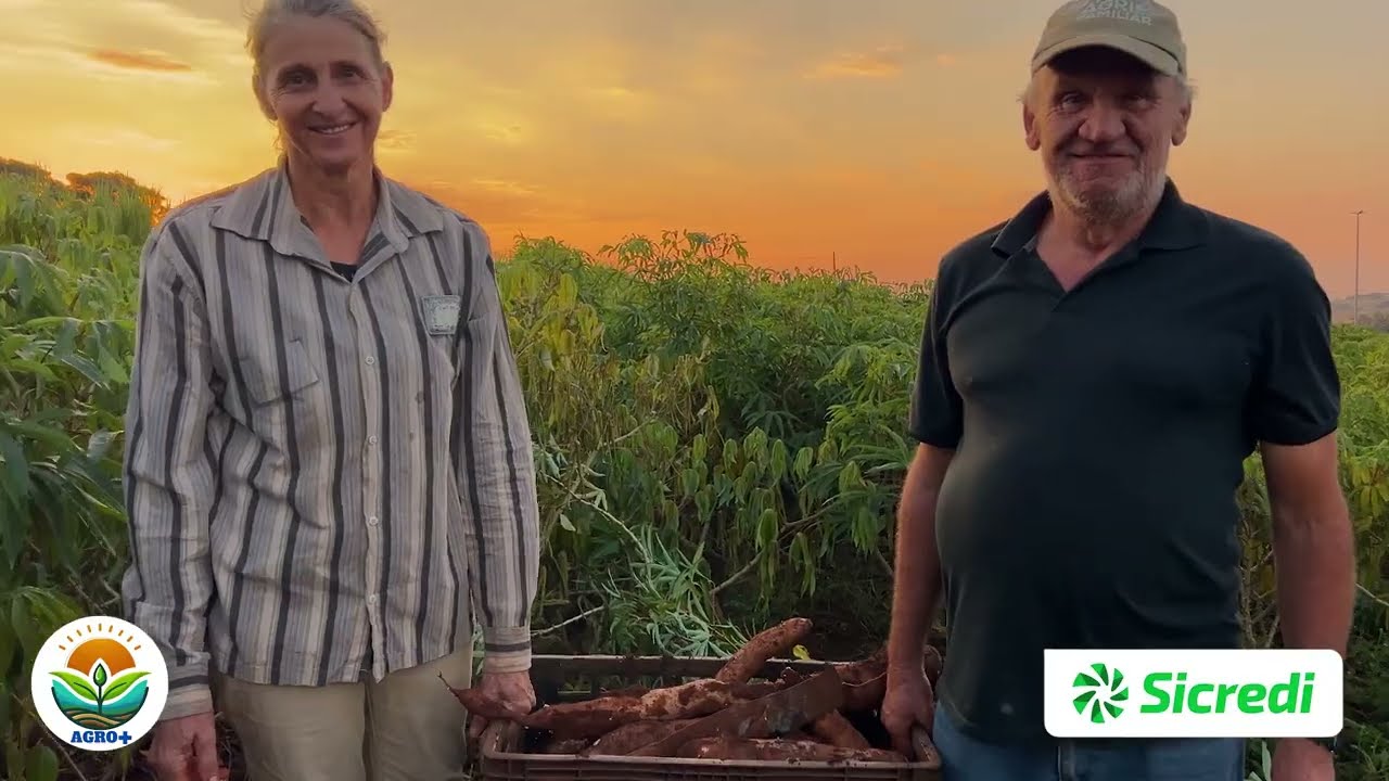 👩&zwj;🌾👨&zwj;🌾 Casal aposentado faz sucesso com agroind&uacute;stria de mandioca sem conservantes