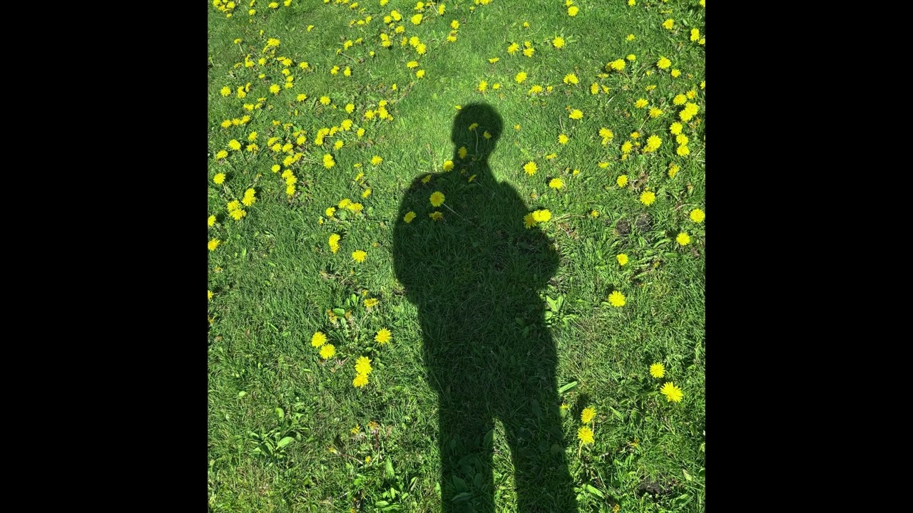 Petal