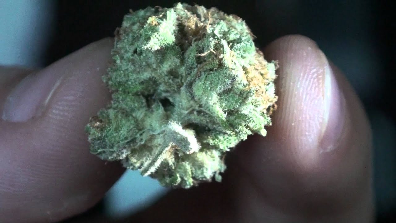Blackberry Kush Strain Review