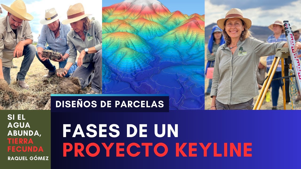 Fases del Dise&ntilde;o Keyline