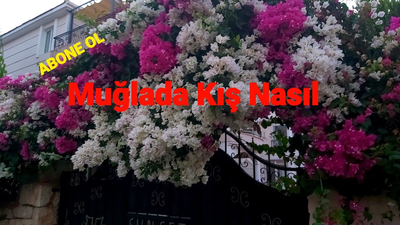 Muğlada Kış Nasıl?