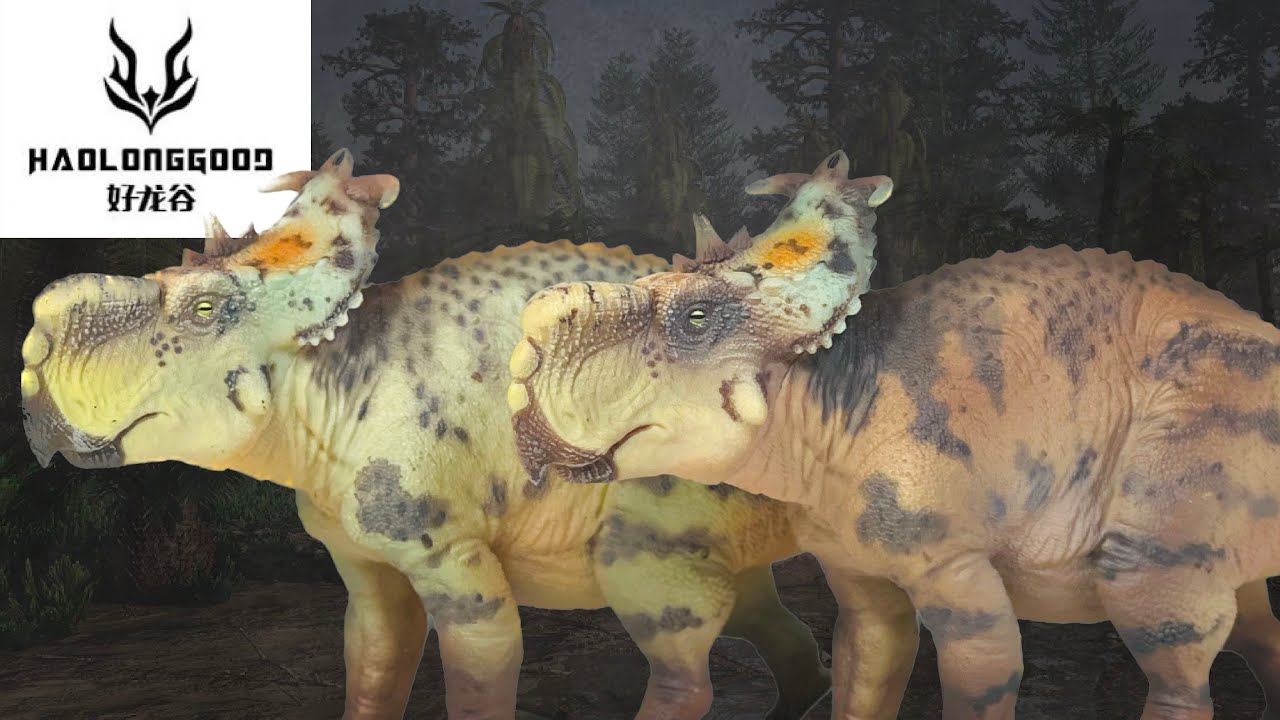 Haolonggood Pachyrhinosaurus Review!! Both Versions!!