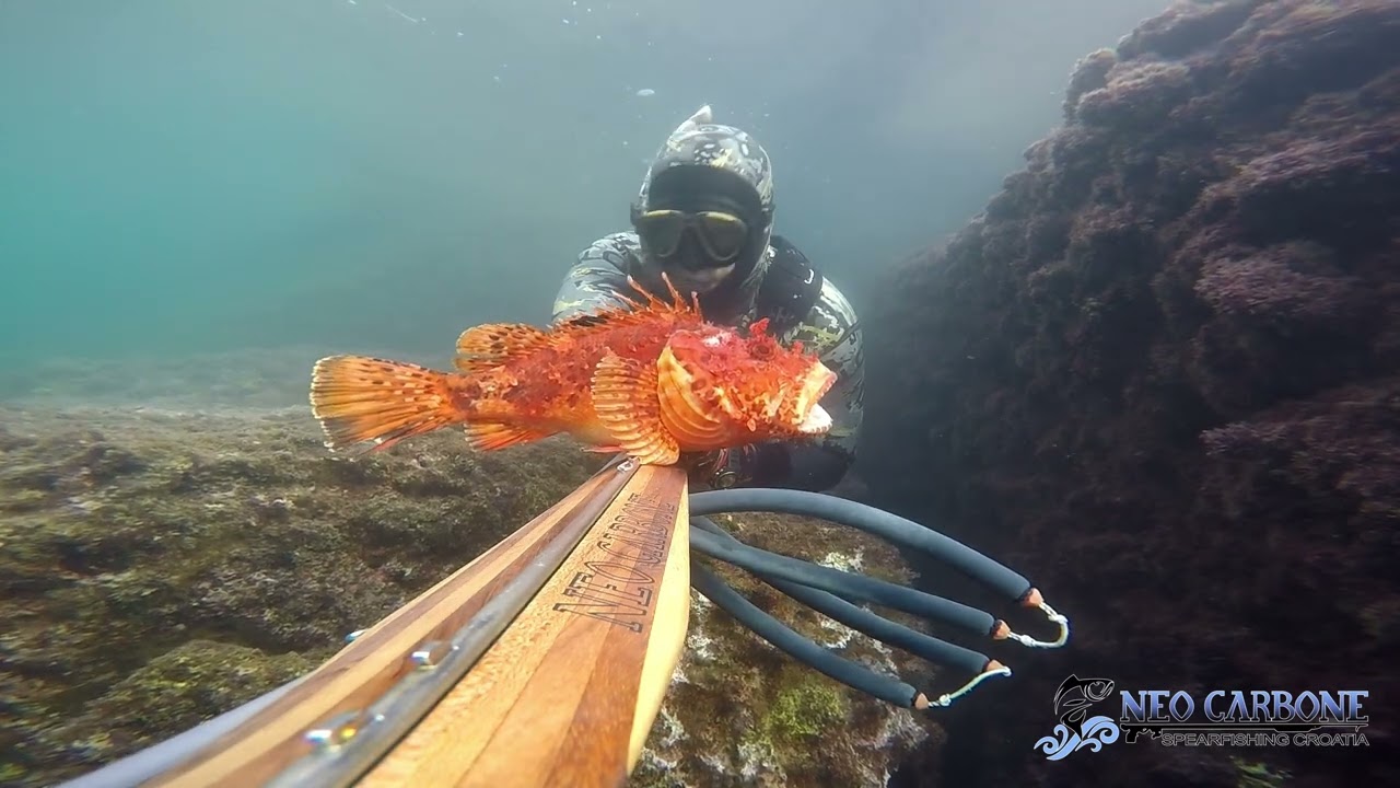 Spearfishing Croatia-Neocarbone-