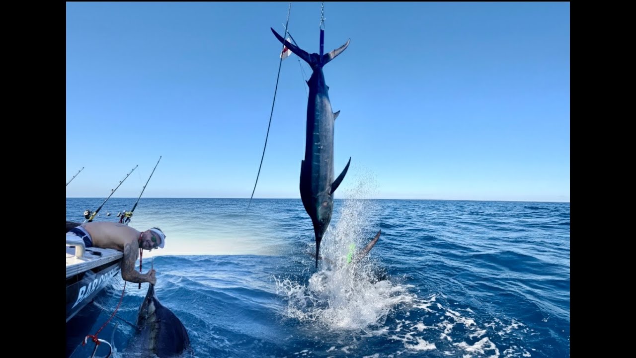 BIG STRIPED MARLIN - The last ever fish in my Bar Crusher