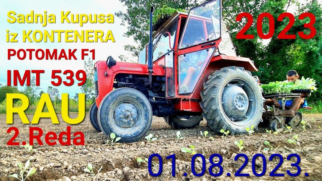 Sadnja Kupusa 01.08.2023. IMT 539 i RAU Diskosna Sadilica