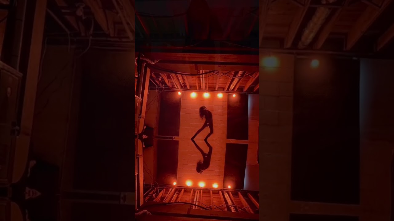 FORCE OF GRAVITY-BT