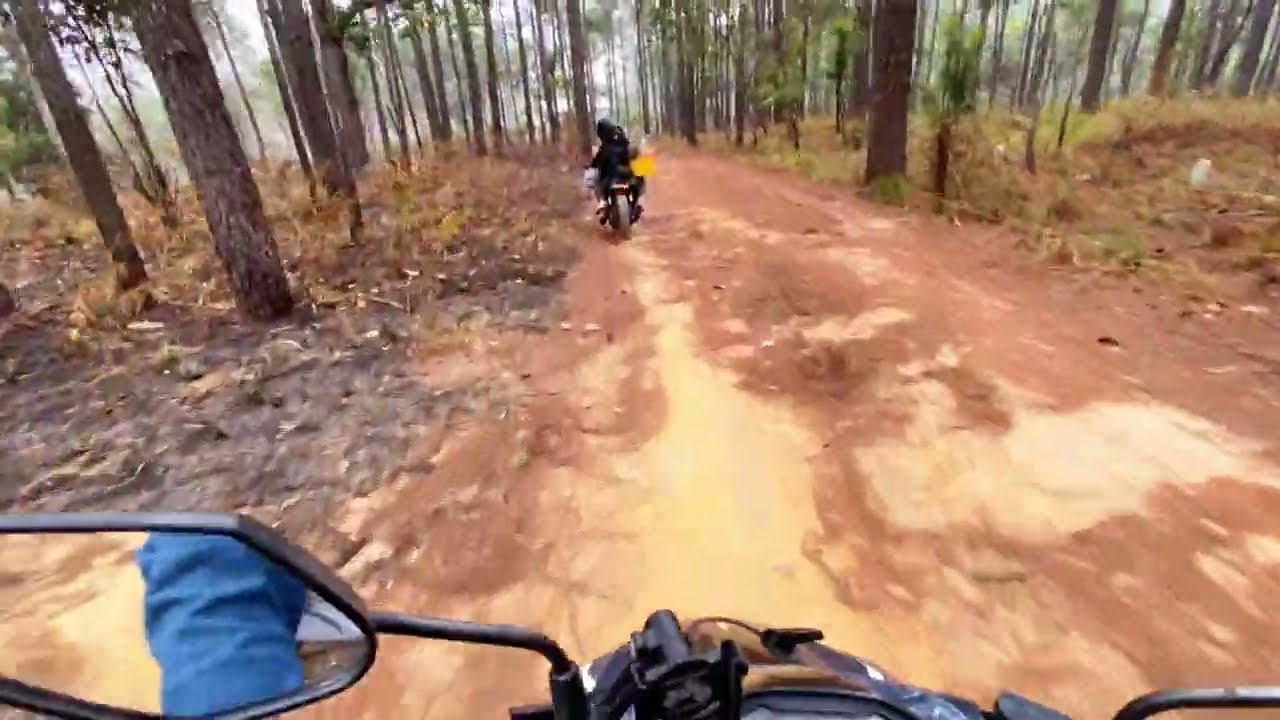 BEST POV RIDE Through The Forest Back Home along ways I Meet New Friends 