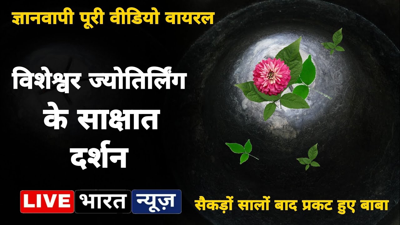 Gyanvapi Masjid Survey Video: ज्ञानवापी मस्जिद की वीडियो वायरल, करें विशेश्वर ज्योतिर्लिंग के दर्शन।