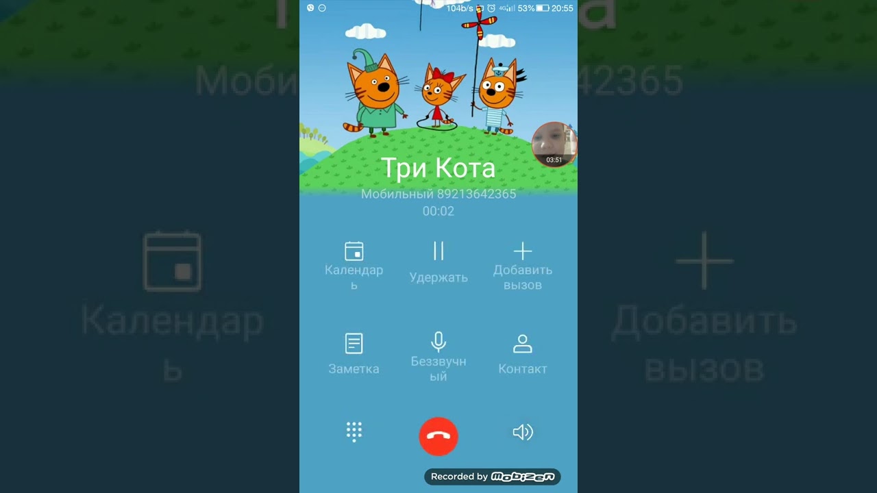 Мне звонят три кота