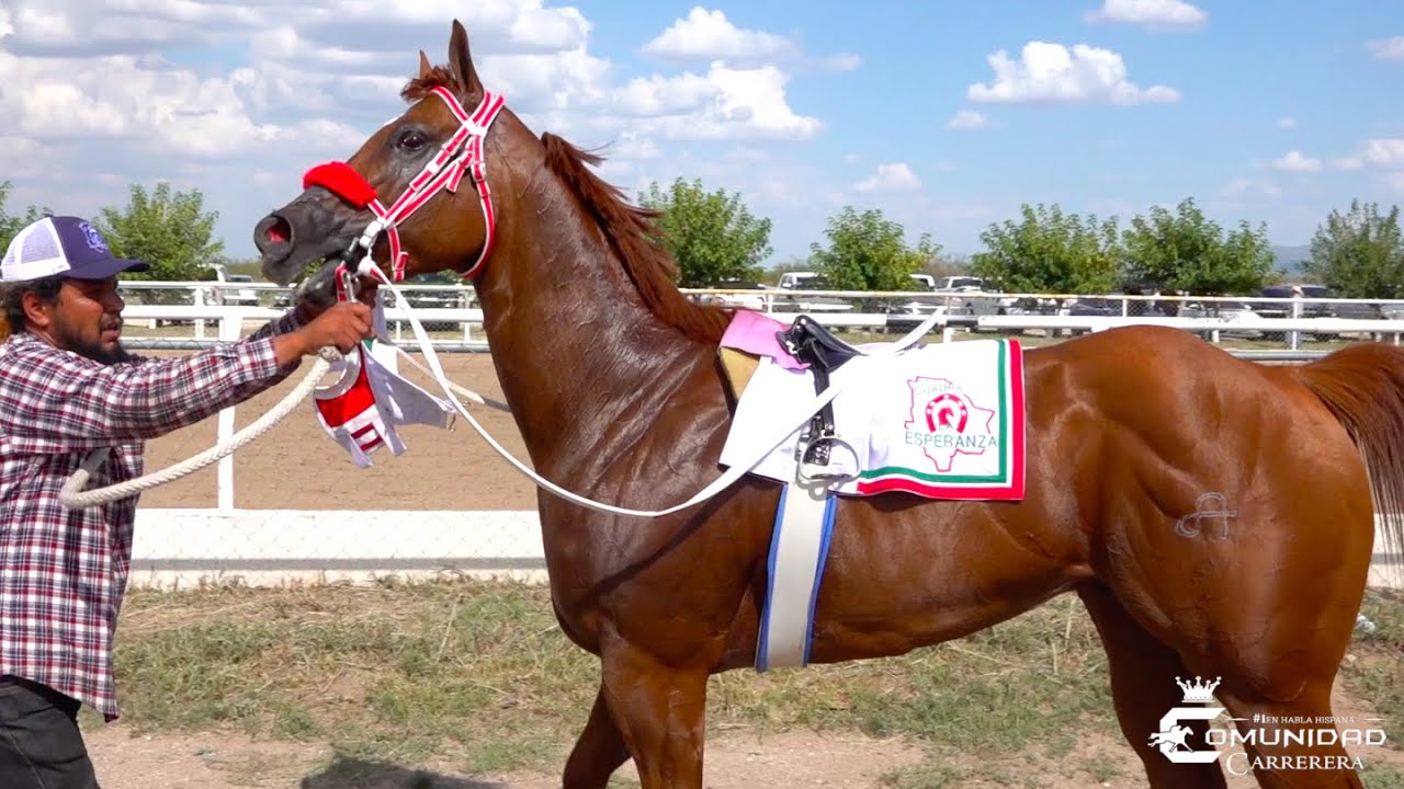 El Comandante 🇲🇽 Vs. El Sheriff 🇺🇸. Satevo Racetrack, CHIH. 🇲🇽