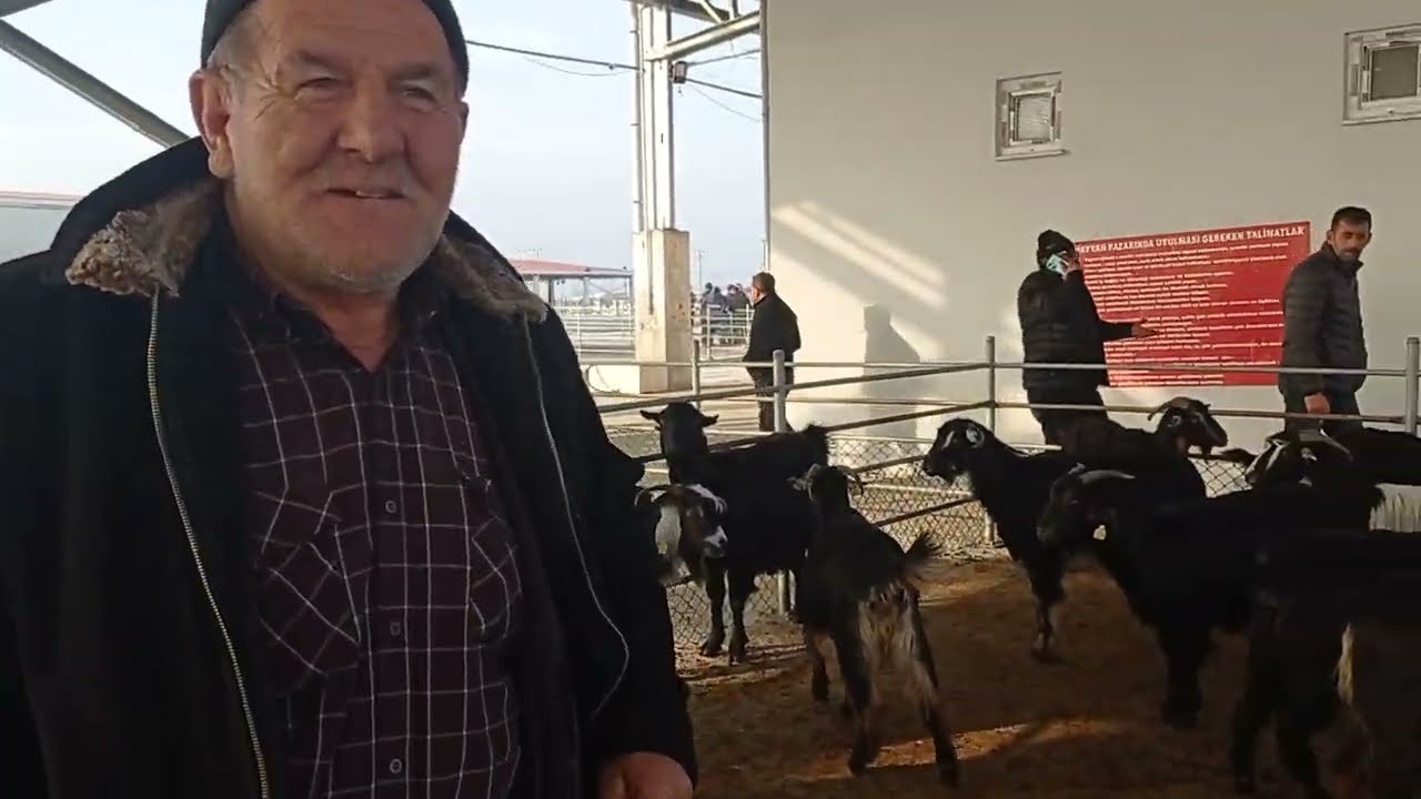 ÇORUM HAYVAN PAZARI KÜÇÜKBAŞ 2.BÖLÜM 2 OCAK 2024. MURAT GÜRGİL