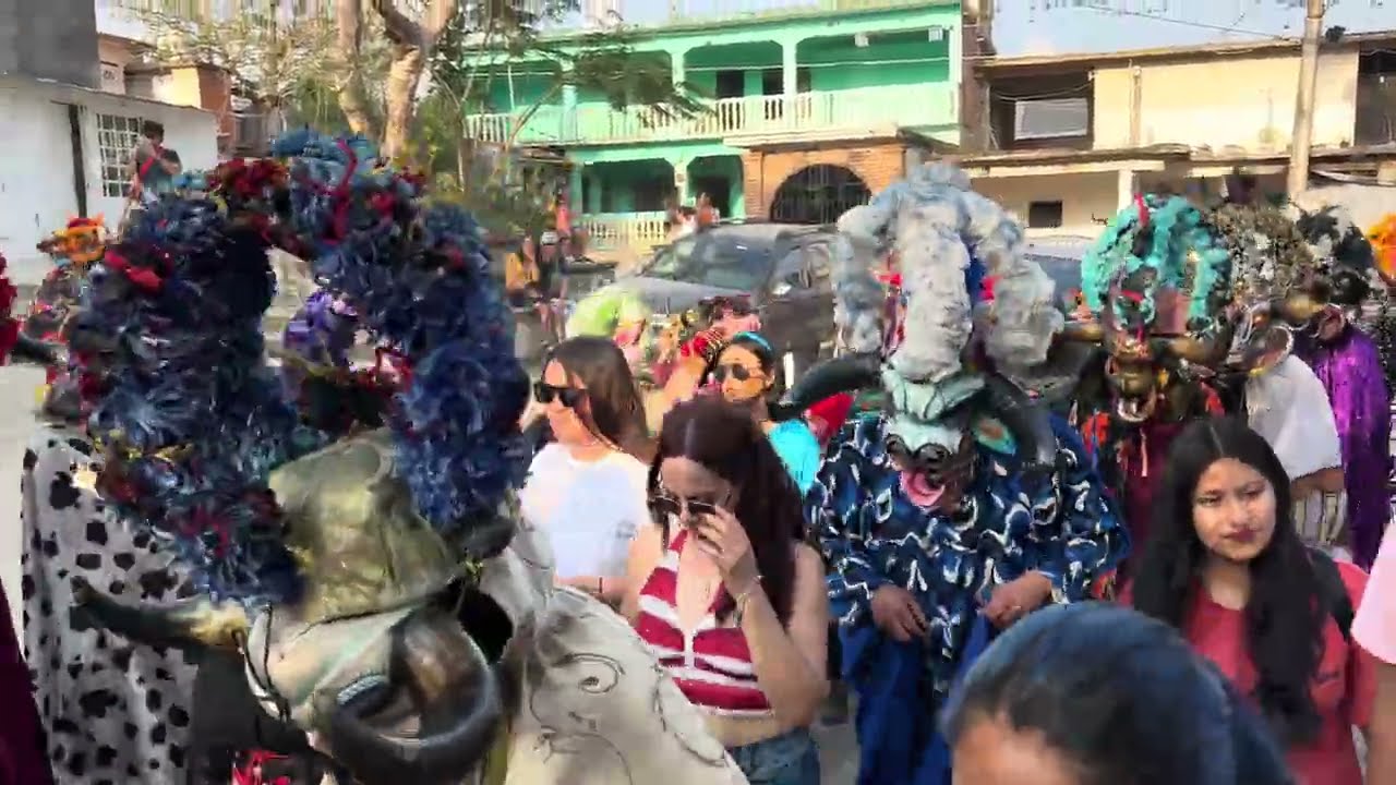 CARNAVAL DE ALMOLONGA, ULTIMA ACTIVIDAD: EL PASEO DE LA VAQUITA 