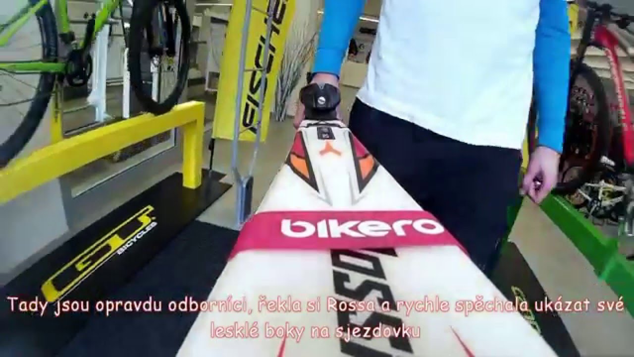 Servis Lyže